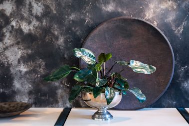 Wand -und Raumgestaltung