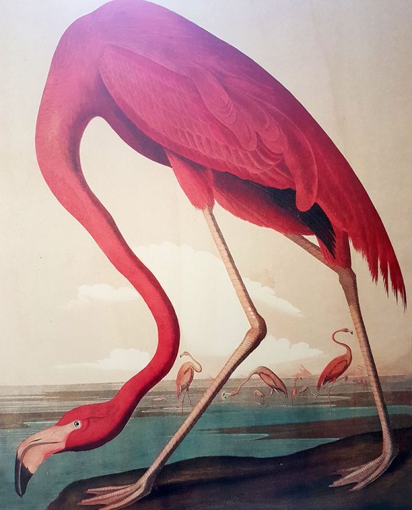 Holzbild Flamingo